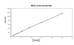 Eurofins DiscoverX MLK2 Protein, Active 10 &mu;g | Buy Online | Eurofins DiscoverX | Fisher Scientific